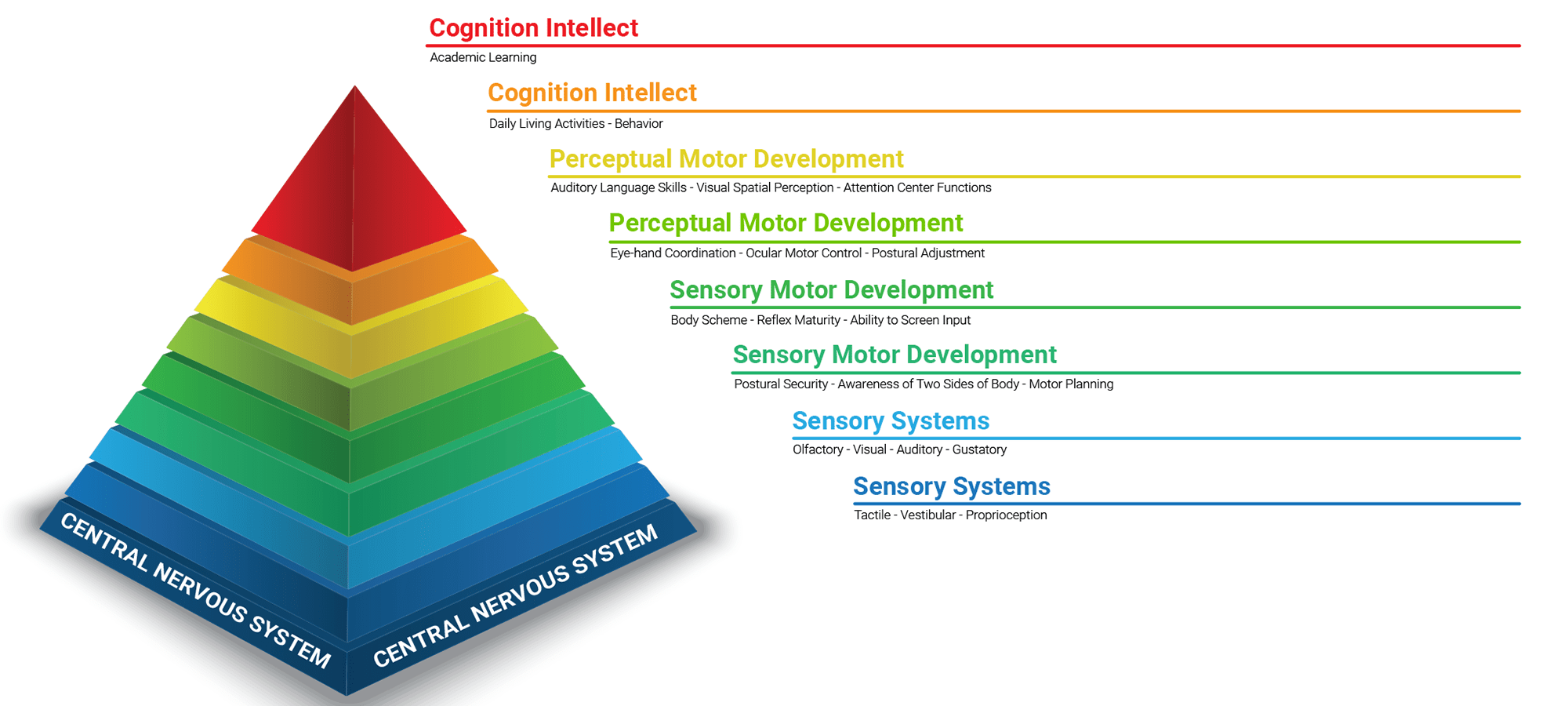 Vestibular System ILs Therapy Auditory Retraining Therapy